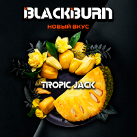 Табак Black Burn - Tropic Jack (Джекфрут) 25 гр